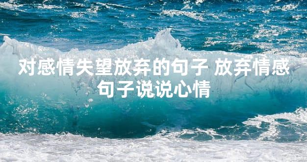 对感情失望放弃的句子 放弃情感句子说说心情